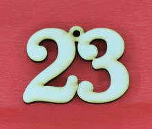 CR20029