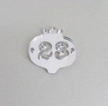 CR21004